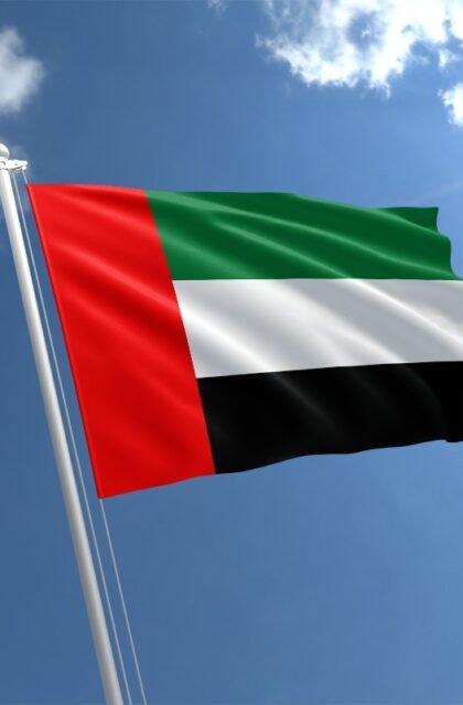 UAE CC Dump
